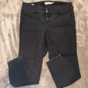 Torrid premium jegging